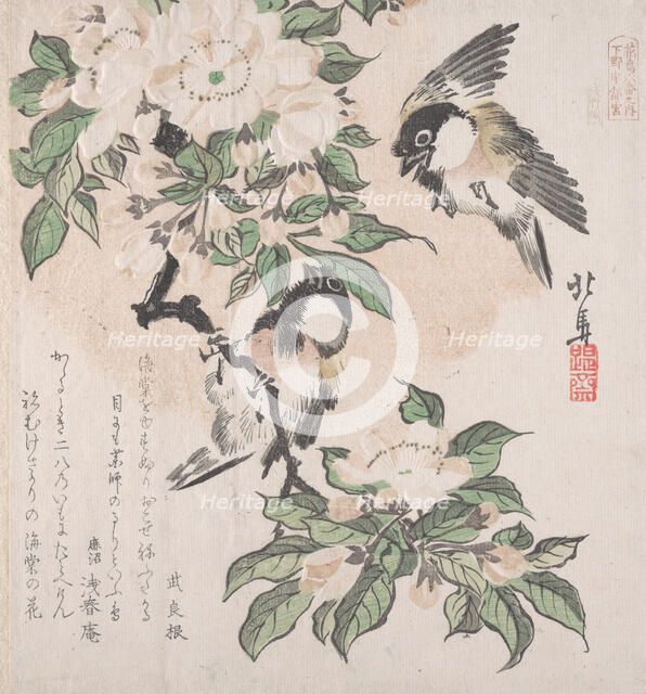 Spring Rain Collection (Harusame shu), vol. 3: Marsh-tits and Crab Apple Flowers, ca. ..., ca. 1820. Creator: Hokuba.