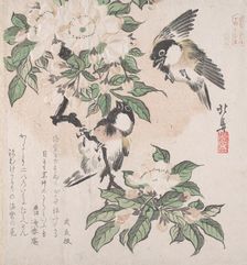 Spring Rain Collection (Harusame shu), vol. 3: Marsh-tits and Crab Apple Flowers, ca. ..., ca. 1820. Creator: Hokuba