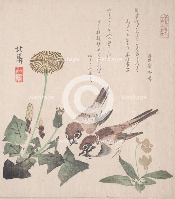 Spring Rain Collection (Harusame shu), vol. 3: Sparrows and Dandelions, ca. 1820., ca. 1820. Creator: Hokuba.