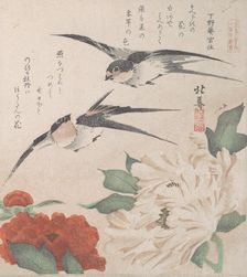 Spring Rain Collection (Harusame shu), vol. 3: Swallows and Peonies, ca. 1820., ca. 1820. Creator: Hokuba