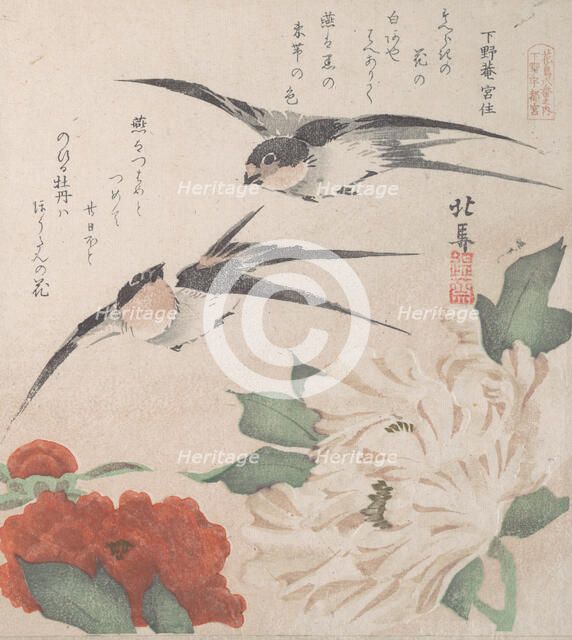Spring Rain Collection (Harusame shu), vol. 3: Swallows and Peonies, ca. 1820., ca. 1820. Creator: Hokuba.