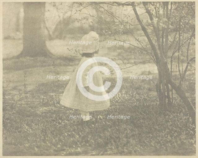 Spring - The Child, 1901. Creator: Alfred Stieglitz.