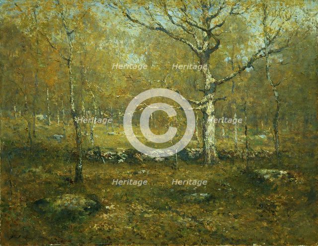 Spring Woods, ca. 1895-1900. Creator: Henry Ward Ranger.
