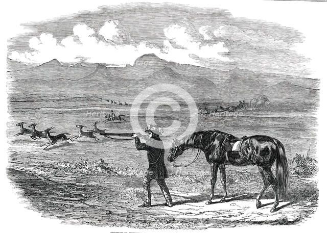 Springbok Hunting in South Africa, 1850. Creator: Unknown.