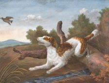 Springer: A Spaniel Bounding Over a Log to Spring a Snipe on the Left, ca. 1805. Creator: Unknown