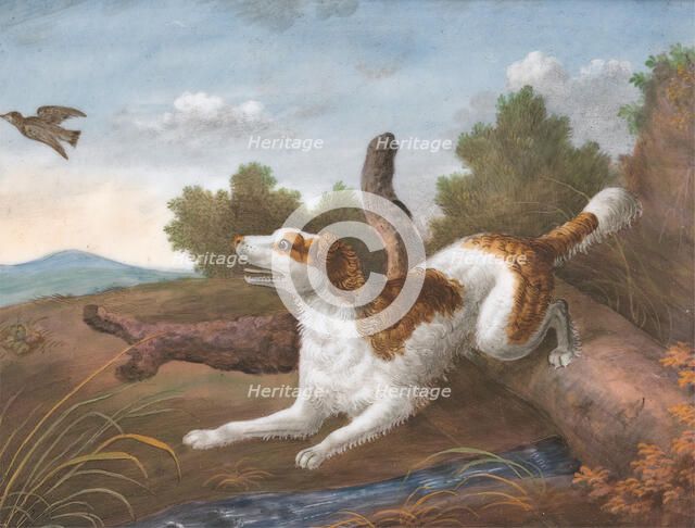 Springer: A Spaniel Bounding Over a Log to Spring a Snipe on the Left, ca. 1805. Creator: Unknown.