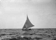 Spruce IV, 1895 Sept 28, c1895. Creator: John S Johnston