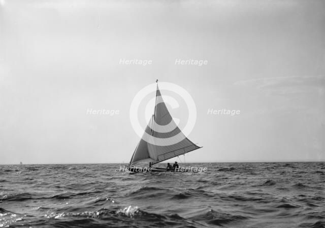 Spruce IV, 1895 Sept 28, c1895. Creator: John S Johnston.