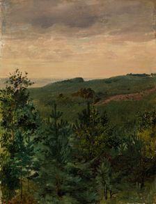 Spruce Saplings in Sandy Soil, Study, 1854. Creator: Werner Holmberg