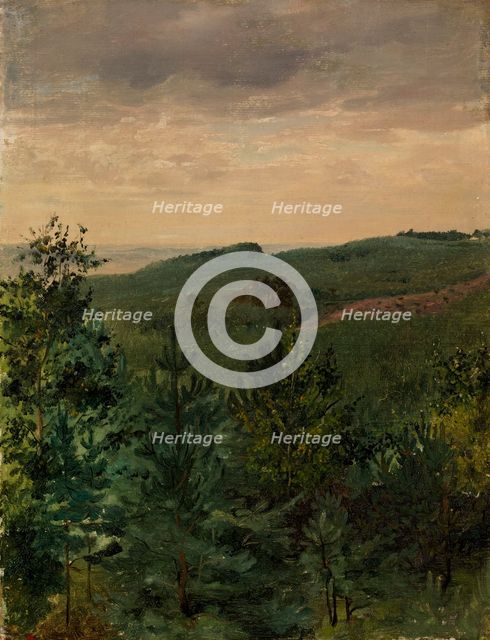 Spruce Saplings in Sandy Soil, Study, 1854. Creator: Werner Holmberg.