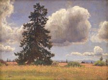 Spruce Tree in a Summer Pasture. Norway, 1914. Creator: Niels Skovgaard