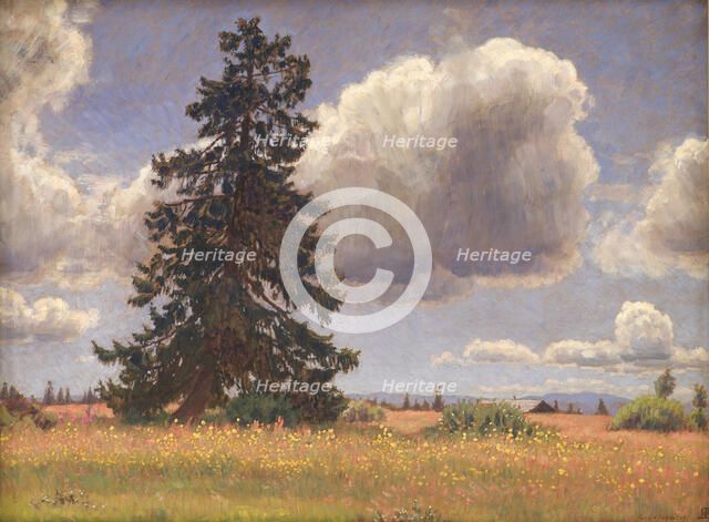 Spruce Tree in a Summer Pasture. Norway, 1914. Creator: Niels Skovgaard.
