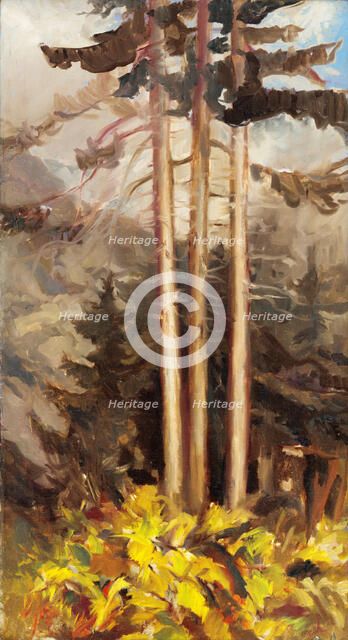 Spruces, c1930. Creator: Zolo Palugyay.