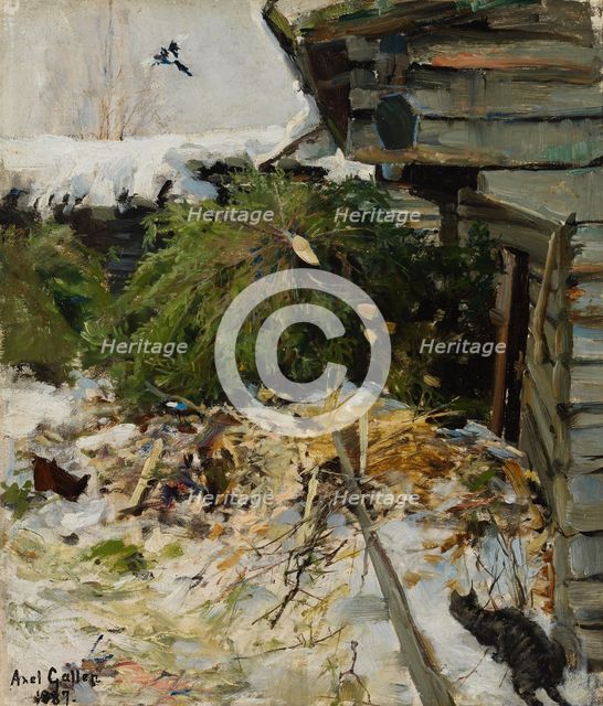 Spruces in a Farmyard, 1887. Creator: Akseli Gallen-Kallela.