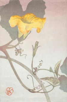 Squash Blossom, about 1908. Creator: Wilhelmina Seegmiller