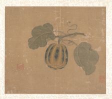 Squash. Creator: Unknown