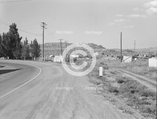 Squatter camp before season opens, Malin, Klamath County, Oregon, 1939. Creator: Dorothea Lange.