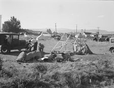 Squatter camp in potato town, Malin, Klamath County, Oregon, 1939. Creator: Dorothea Lange