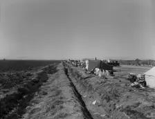 Squatter camp on county road near Calipatria, 1937. Creator: Dorothea Lange