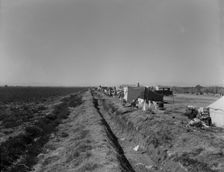 Squatter camp on county road near Calipatria, 1937. Creator: Dorothea Lange