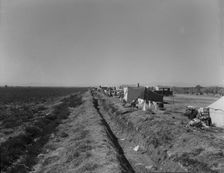 Squatter camp on county road near Calipatria, 1937. Creator: Dorothea Lange