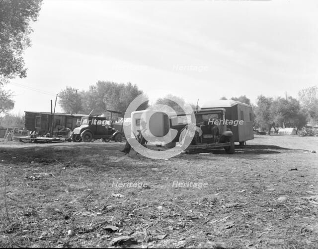 Squatter camp, outskirts of Bakersfield, California, 1936. Creator: Dorothea Lange.