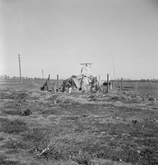 Squatter camp, Patterson, California , 1939. Creator: Dorothea Lange