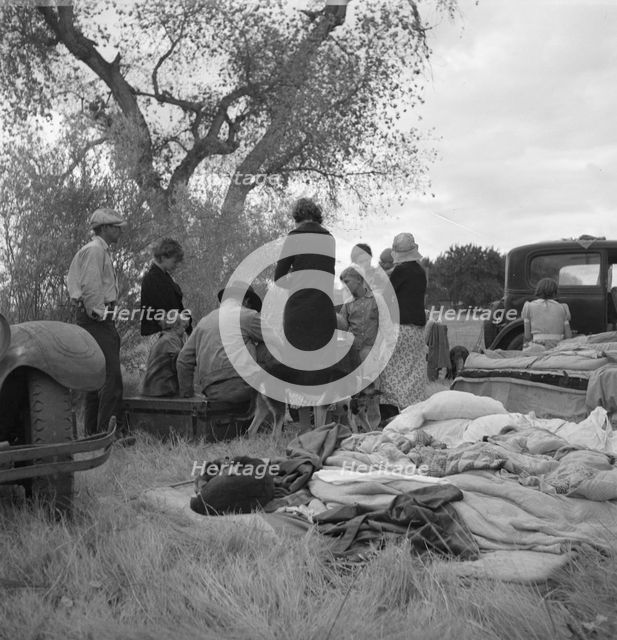 Squatters along highway near Bakersfield, California, 1935. Creator: Dorothea Lange.