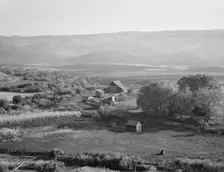Squaw Valley farm, 640 acres, with sixty in tillable land..., Gem County, Idaho, 1939. Creator: Dorothea Lange