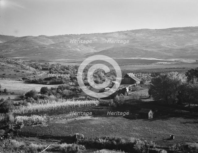 Squaw Valley farm, Gem County, Idaho, 1939. Creator: Dorothea Lange.