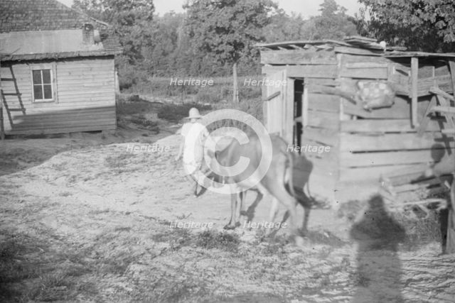 Squeakie Burroughs and friend, Hale County, Alabama, 1936. Creator: Walker Evans.