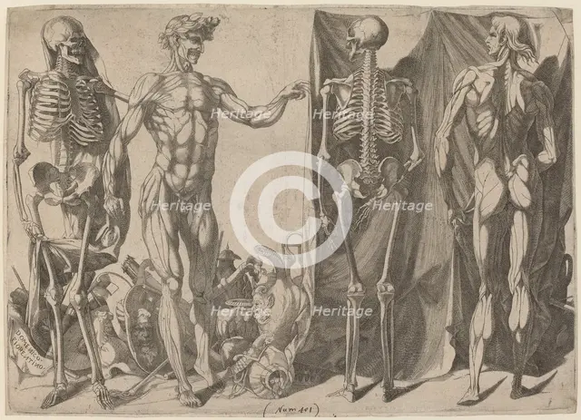 Squelettes et Écorchés, c. 1540-1545. Creator: Domenico del Barbiere.