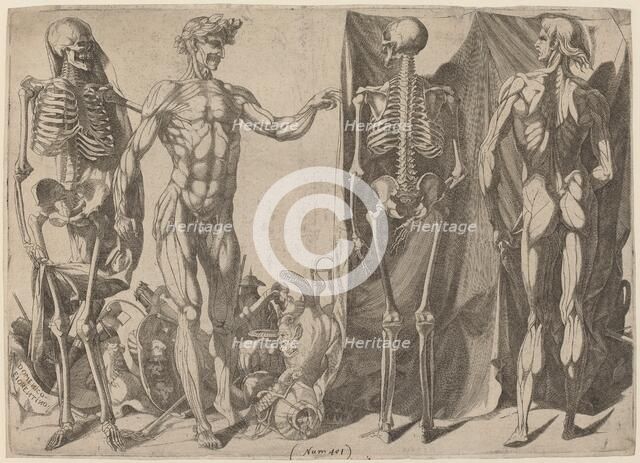 Squelettes et Écorchés, c. 1540-1545. Creator: Domenico del Barbiere.