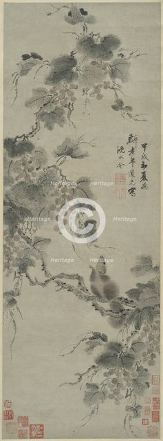 Squirrel and Grapes, 1694. Creator: Shen Yongling.