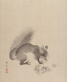 Squirrel Eating Chestnuts, 1887-92. Creator: Gyokusho Kawabata
