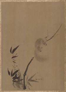 Squirrel on Bamboo, ca. 1650. Creator: Kanô Tan'yû