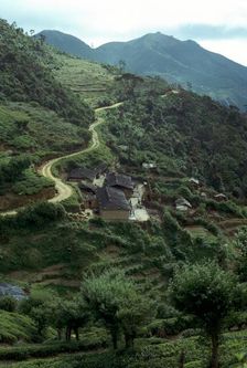 Sri Lanka, near west Haputale. Artist: CM Dixon