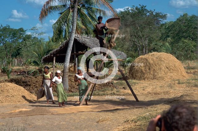 Sri Lankan villagers winnowing rice. Artist: CM Dixon Artist: Unknown