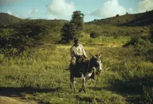St. Croix, Virgin Islands, 1941. Creator: Jack Delano