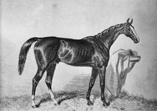 St. Albans c19th century, (1911)