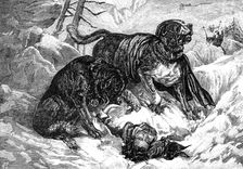 St. Bernard dogs finding a traveller in the snow, 1883. Creator: Unknown