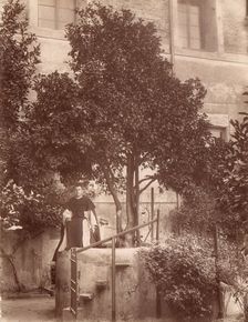 St. Dominic's Orange Tree on the Aventine, 1880s. Creator: Unknown