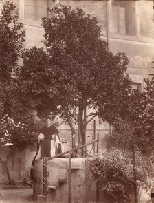 St. Dominic's Orange Tree on the Aventine, 1880s. Creator: Unknown