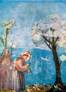 St Francis Preaching to the Birds 1297-1299, (c1900-1920)