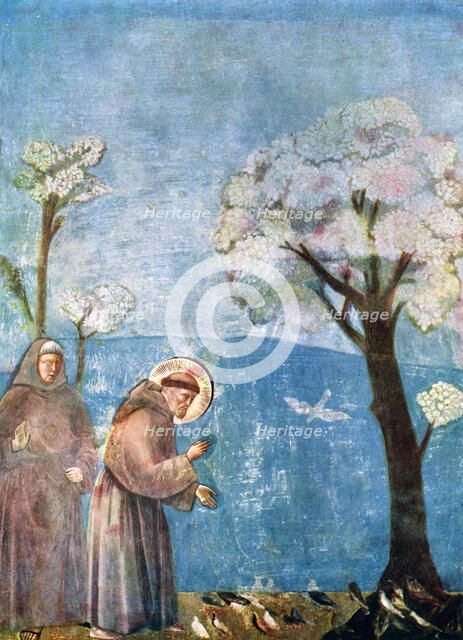 'St Francis Preaching to the Birds', 1297-1299, (c1900-1920). Artist: Unknown