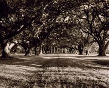 St. James Parish--Oak Alley, Vacherie, 1938. Creator: Frances Benjamin Johnston