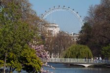 St James's Park, 2009. Creator: Ethel Davies