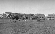 St. Leger Horses In Front of the Doncaster Stand c1901, (1903). Artist: WW Rouch