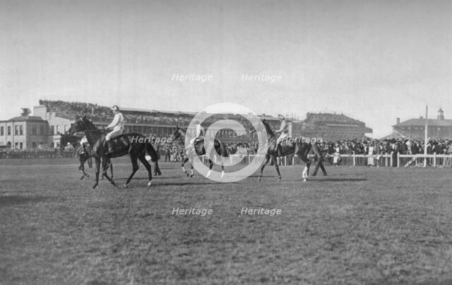 'St. Leger Horses In Front of the Doncaster Stand', c1901, (1903). Artist: WW Rouch.