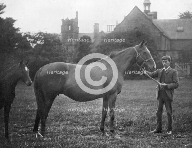 St Marguerite, British racehorse, 1895 (1938). Artist: Unknown